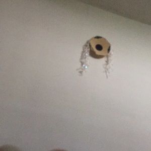 Meet your Posher, Lidiya